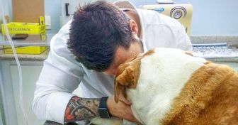 A Vet Reveals What Pets Do in Their Final Moments, and All Pet Owners Need to Read This