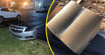 15 Photos That Show Your Brain Can Easily Fool You and Tell a Whole Different Story