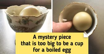 13 Mysterious Kitchen Items Whose Purpose Might Perplex Even the Smartest Among Us