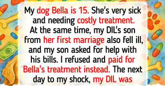 I Chose to Save My Sick Dog Over My DIL’s Son, He’s Not My Responsibility