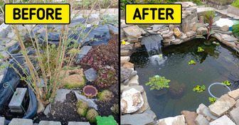 14 People Who Ventured Into a Backyard Makeover and Never Regretted It