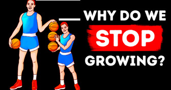 Why We Stop Growing at One Point