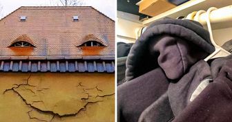 18 Objects That Unexpectedly Showed Their Real Face