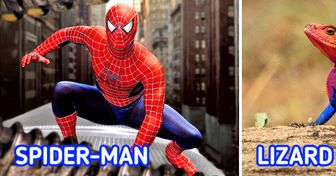 There’s a Lizard That Looks Like Spider-Man, and We Can’t Decide Who Wore the Suit Better