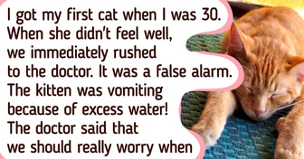 10+ Clear Signs That Your Cat Might Need a Vet’s Help