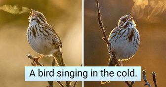 17 Ways Nature Amazed Us When We Thought We’d Seen Everything