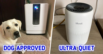 Let’s Compare 6 Air Purifiers and See Which Ones Are Worth Your Money