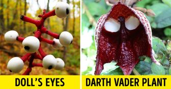 15 Strange Plants That Prove We Could Be Living on an Alien Planet