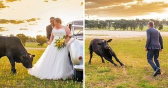 An Unexpected Guest Photobombs a Couple’s Wedding Shoot, and We Can’t Help but Laugh