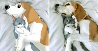 Artist Uses Random Pictures of Pets and Makes Pure Art Out of Them