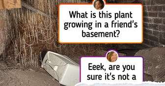 12 Everyday Moments So Strange, They Deserve a Spot in a Mystery Series