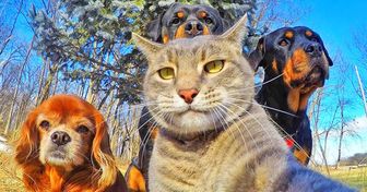 20 Animals That Are Better At Selfies Than You Are