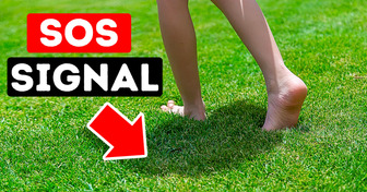 Fresh-Cut Grass Sends Out an S.O.S. + 14 Disturbing Facts
