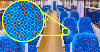A Genuine Reason Why Bus Seats Are Covered in Patterns and 10 More Secrets