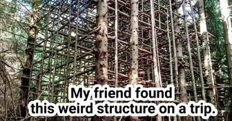 20 People Who Found Curious Things and Turned to Netizens for Help