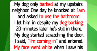 10 Rescue Dog and Cat Moments That Teach Us Shelter Animals Are Still the Most Compassionate and Kind Heroes in 2026