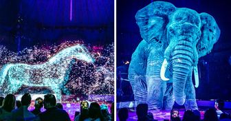 A German Circus Uses Holograms Instead of Live Animals in Their Shows, and It’s a Giant Step Toward Ending Animal Abuse
