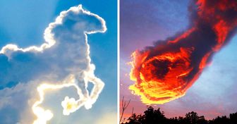 19 Sky Photos That Are Probably Taken in a Parallel Universe