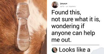 15 Curious Objects With Hidden Meanings That Can Tickle Our Imagination