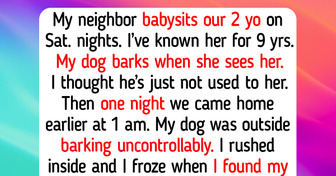 12 Real Animal Shelter Moments That Teach Us Tender Compassion and Quiet Wisdom Have No Species