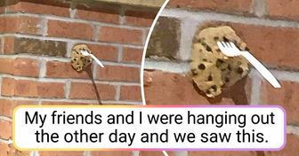 15 People Who Were Lucky Enough to Witness a Coincidence