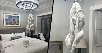 18 People Whose Hotel Deserved 5 Stars Just for Being So Witty