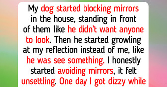 Top 11 Pets Who Proved Kindness Successfully Can Save a Broken Soul