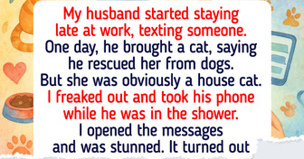 15 People Who Didn’t Want a Cat but Were Chosen by Fate Anyway