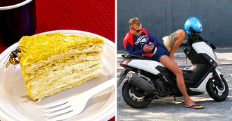 21 Photos That Can Make You More Attentive to the Things Around You