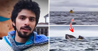 Man Reveals What It Felt Like Being Swallowed By Whale and How He Survived