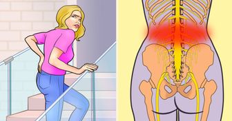 7 Things That May Cause Lower Back Pain and How to Avoid Them