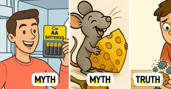 20 Everyday Myths You Might Think Were True—Until Science Proved Them Wrong