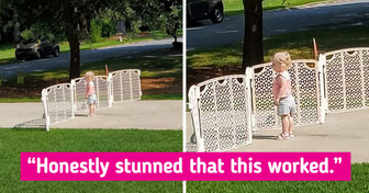 17 Parents of Naughty Children Who Prefer to Laugh Up a Storm