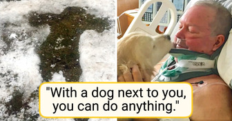 A Man Broke His Neck Falling on Ice—His Dog Proved Compassion Knows No Species