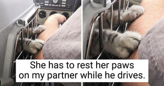 18 Humans and Pets That Can’t Bear to Be Apart From One Another