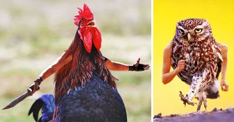 Internet Users Photoshop Birds With Human Arms and the Results Are Too Hilarious