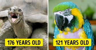 10+ Animals That Exceeded Their Life Expectancy and Lived Many Long, Happy Years