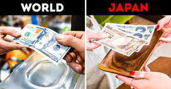 15 Things in Japan That Make Everyone Feel Loved and Cared For