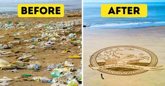 A 70-Year-Old Grandma Cleaned 52 Beaches In One Year and Showed It Is Never Too Late to Take Care of Our Planet