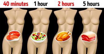 How Long Different Foods Take to Digest, and Why It’s Important to Know