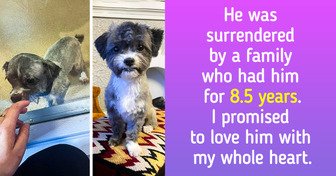 15+ Adopted Pets Who Were Given a Second Chance and Thrived