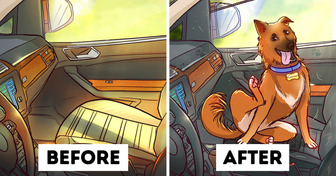 12 Comics Show How Animals Fill Our Lives With Adventure