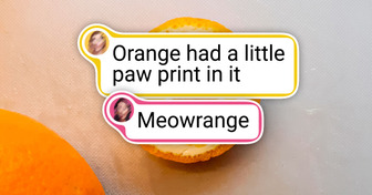 20 Photos That Prove Universe Runs on Jokes