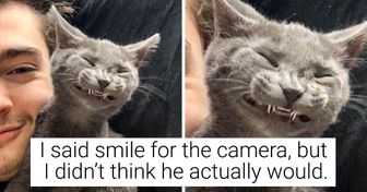 24 Jolly Animal Pics That Could Set Your Mood for 2021