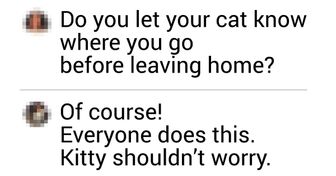 20+ People Confess What They Tell Their Cats Before Leaving Home