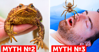 27 Myths We All Grew Up Believing But Are False