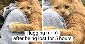 15+ Tender Pics That Can Fill Your Heart With Love