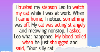 I Trusted My Stepson to Watch My Cat, and What Happened Still Makes My Blood Boil