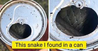 17 Random Discoveries That Made People Open Their Eyes Wide