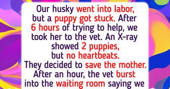 13 Vet Stories That Turn Into Something Unbelievable